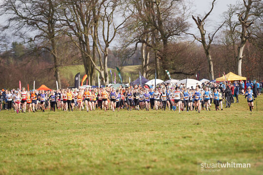 Harrier League Resumes At Thornley